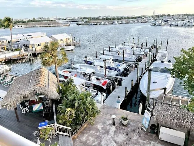 בית נופש קי וסט Dominica - New Waterfront Condo Pool Dock 2 Bedroom 2 Bathroom